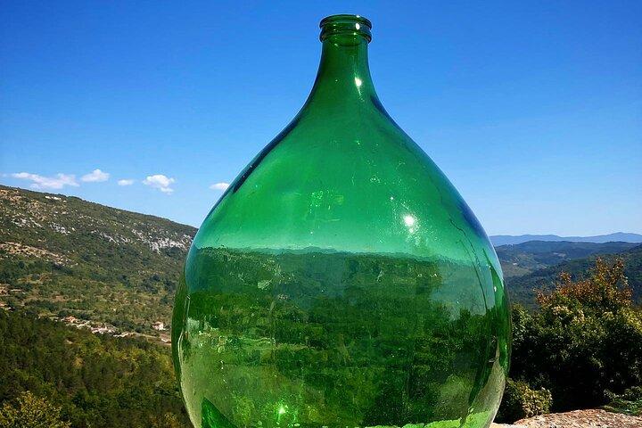 Istria Tour enológico de ocio por la Toscana croata con almuerzo