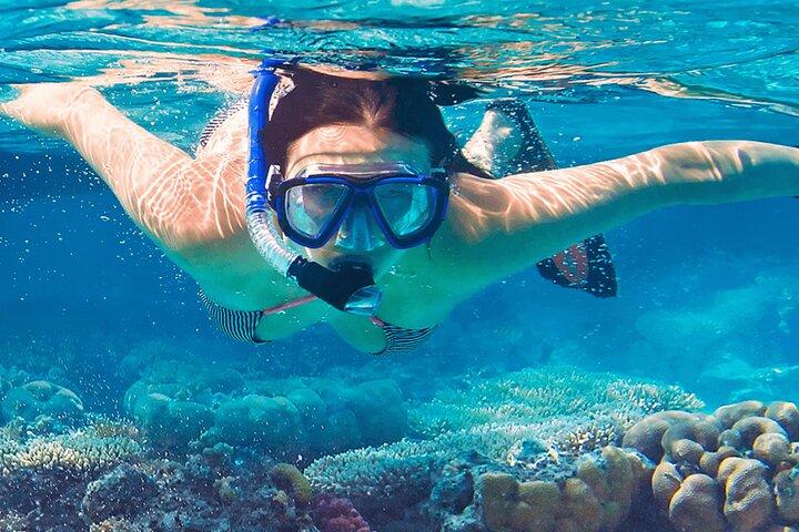 Mnemba Island Safari Marinho Snorkeling e observação de golfinhos