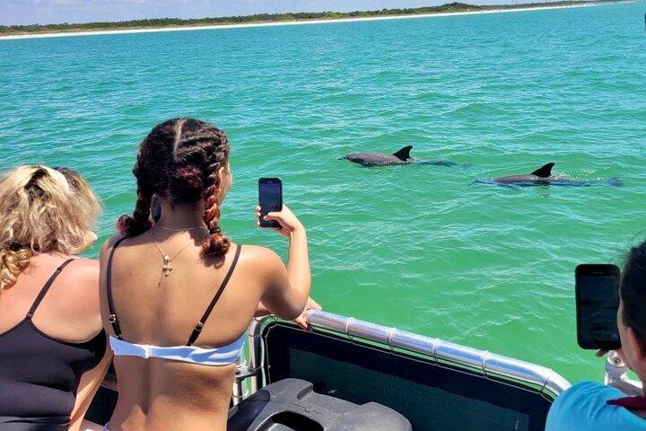 2,5 uur Shell Key Island avontuur inclusief dolfijnen en schelpen
