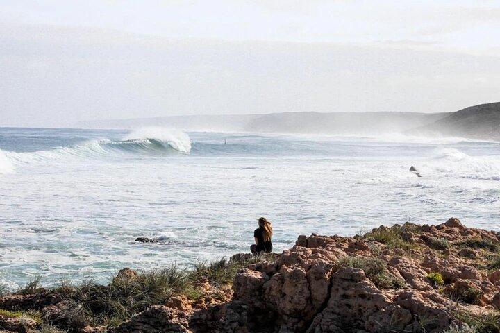 Excursão privada de surfe em Los Angeles