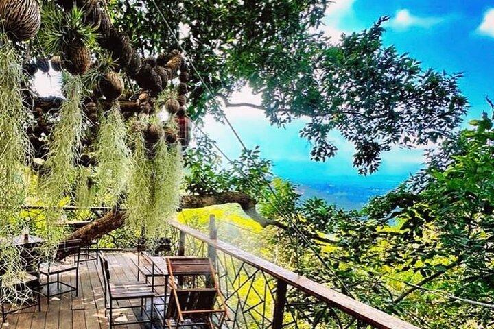 Samui Zipline FLY & Fun Tree Bridge Jungle Cafe & Waterfall
