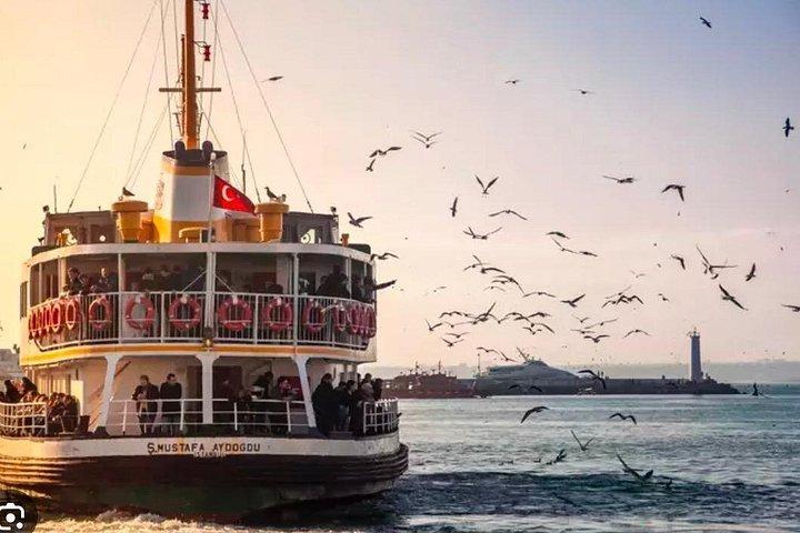 Guided Half Day Afternoon Istanbul Bosphorus Tour With Transfer