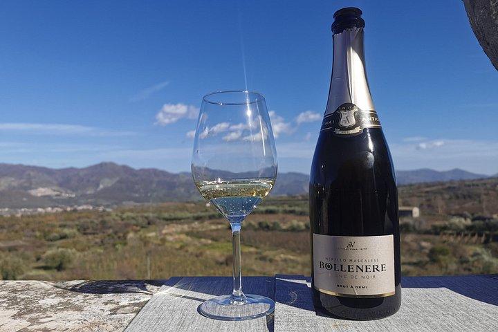Etna Wine and Randazzo town from Taormina