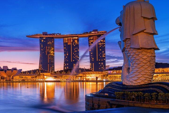 Singapore Night Extravaganza Cruise Light Shows und Satay Delight