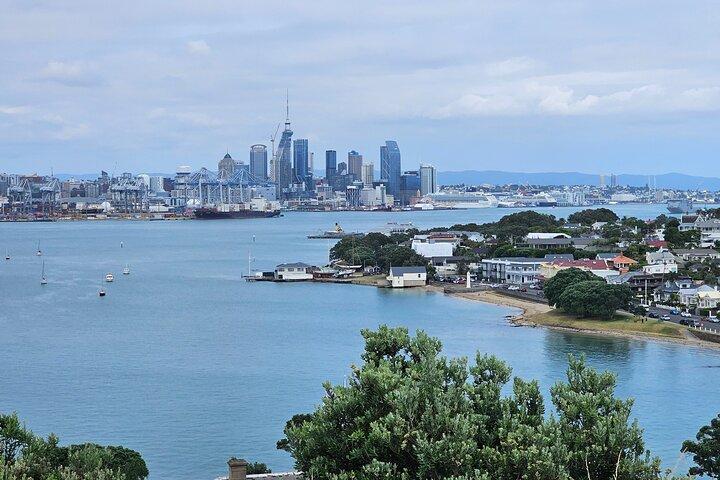 Visite d'une demi-journée à Auckland City