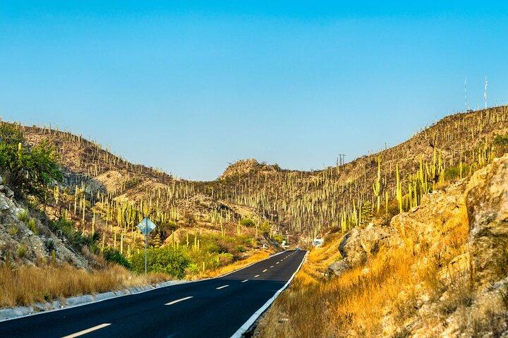 Von Puebla : Private Tour zum Biosphärenreservat Tehuacán + Mezcal
