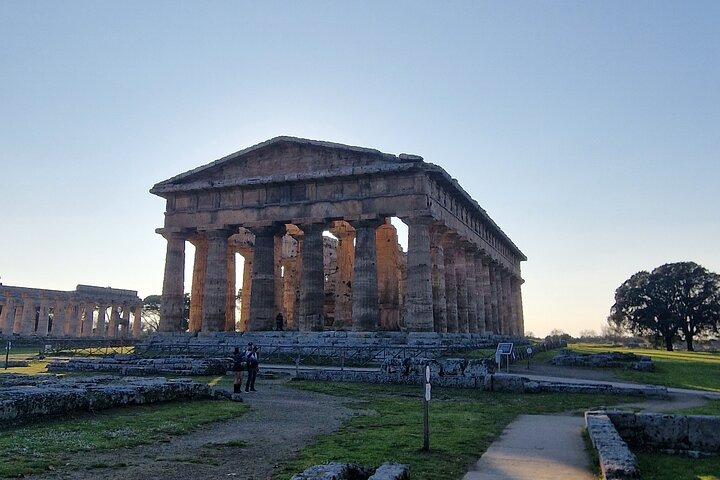 Paestum Archeological Park and Museum Walk
