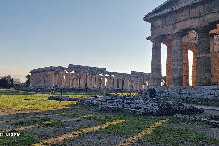 Paestum Archeological Park and Museum Walk