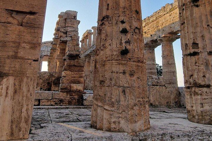 Paestum Archeological Park and Museum Walk