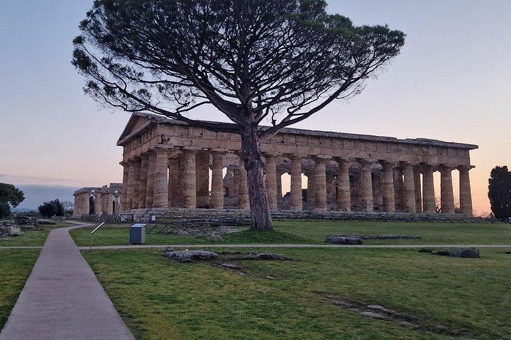 Paestum Archeological Park and Museum Walk