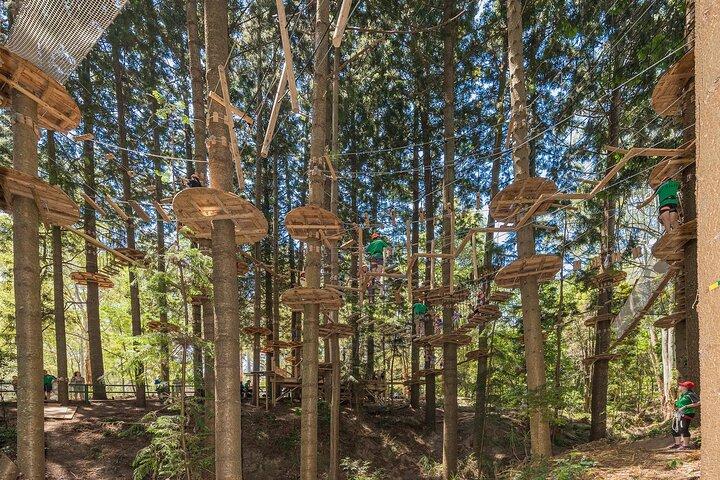 Treetops Adventure The Hills - Curso de cuerdas de árbol