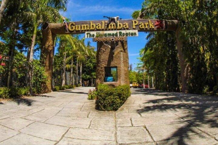 Gumbalimba Zip Line e Preservação Eco-Park