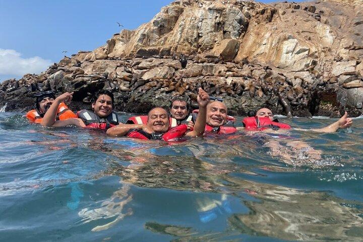 Hidden Gem - Swimming with Sea Lions in the Palomino Islands