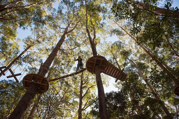 Curso de Cuerdas de Árbol de Sídney Occidental