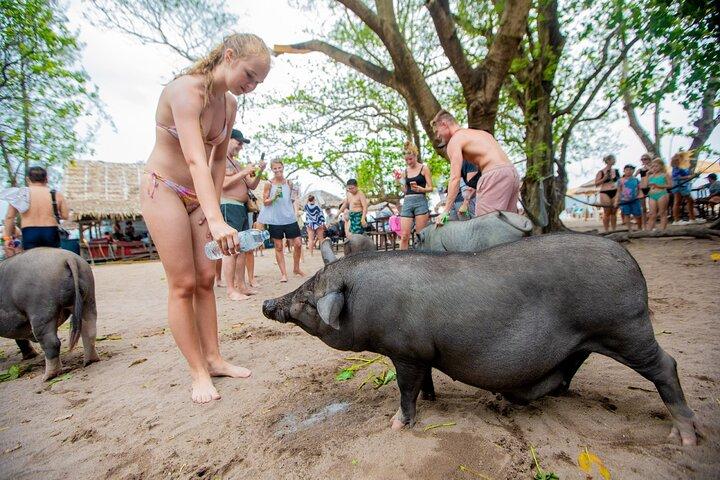 Excursión a la isla de los cerdos y bronceados desde Koh Samui