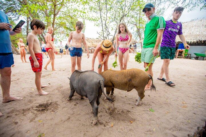 Excursión a la isla de los cerdos y bronceados desde Koh Samui