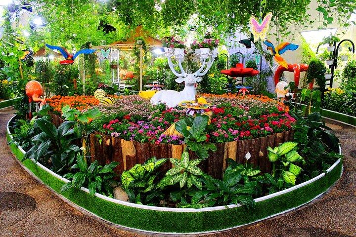 Biglietto per Butterfly Garden Dubai