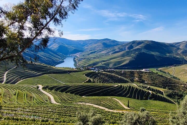 DOURO TOURS - Premium Tour