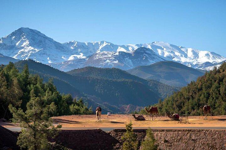 from Marrakech : オウリカバレー日帰りツアー＆アトラス山脈ツアー