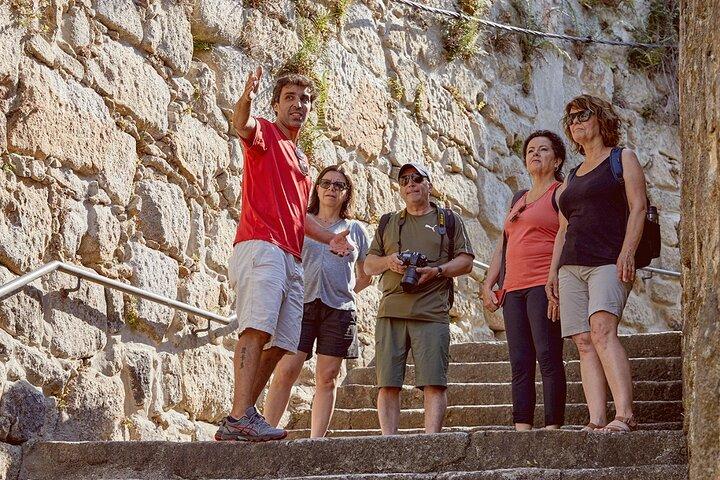 Small Group Secrets of Porto Walking Tour