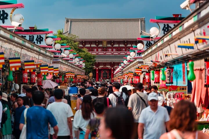Tokyo Private Tour by Vehicle with English-Speaking Chauffeur