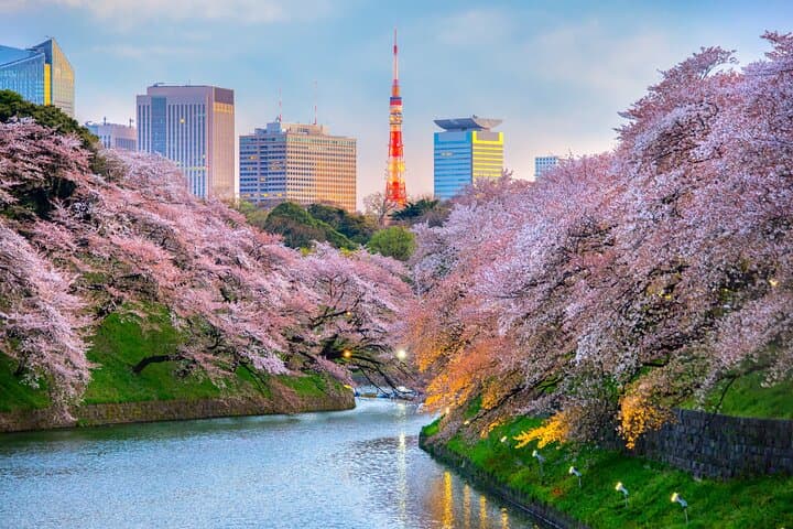 Tokyo Private Tour by Vehicle with English-Speaking Chauffeur