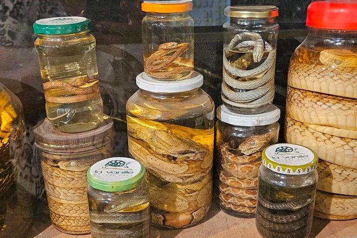 南モーリシャス: クロコダイルパーク、7色アースとランチ