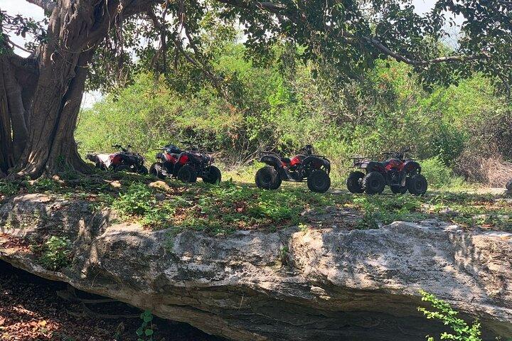ATV Jungle Adventure para ruínas e cavernas maias escondidas