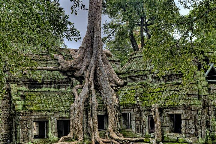 Tour privato dei templi di Siem Reap Angkor Wat, Bayon e Ta Prohm