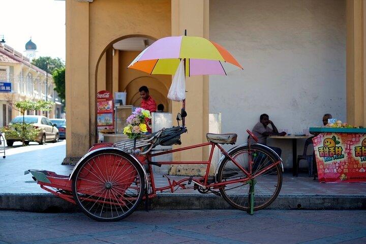Georgetown e Penang City: tour di mezza giornata