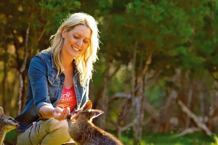Melbourne Shore Excursion, Wine Region, Wildlife, Shared Tour