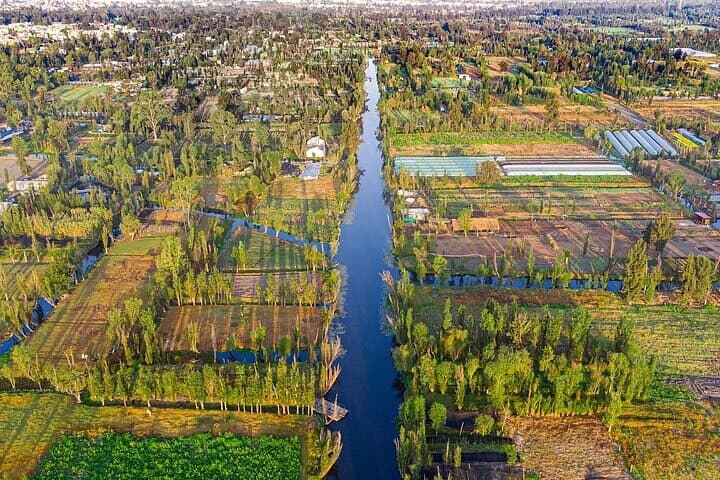 3X1 Tour in Xochimilco UNAM and Coyoacan