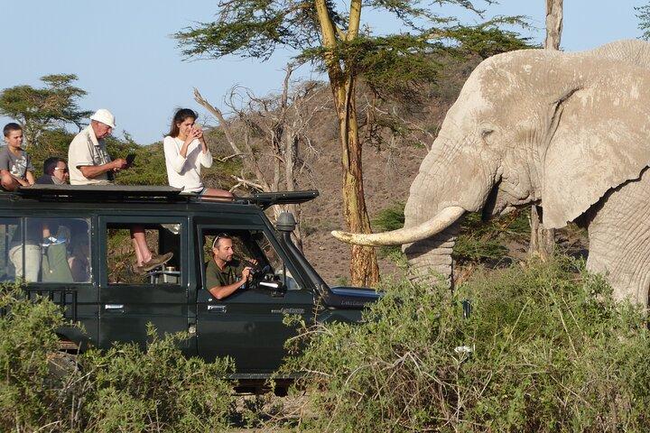 3 dagar Amboseli nationalpark Magical Safari