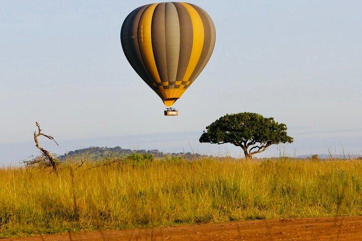 Tanzania Safari Odyssey kultur og dyreliv udgivet 9 dage