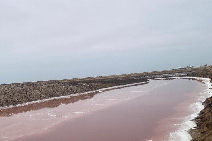 Fulddagstur til Sandwich Harbour