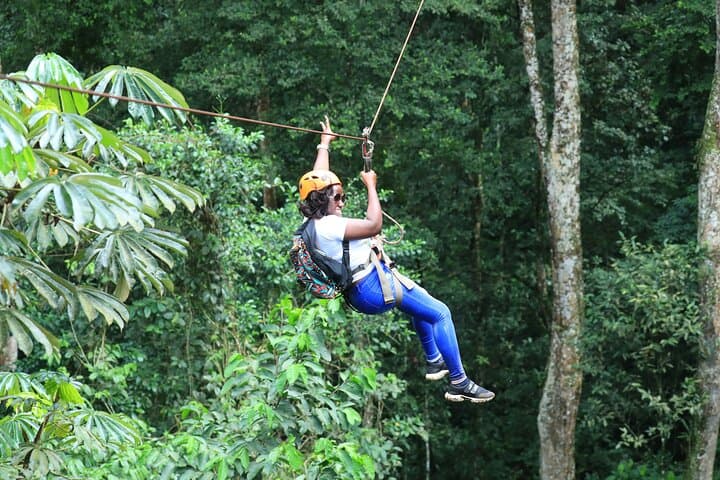 Cape Town Zipline and Wine Tasting Tour