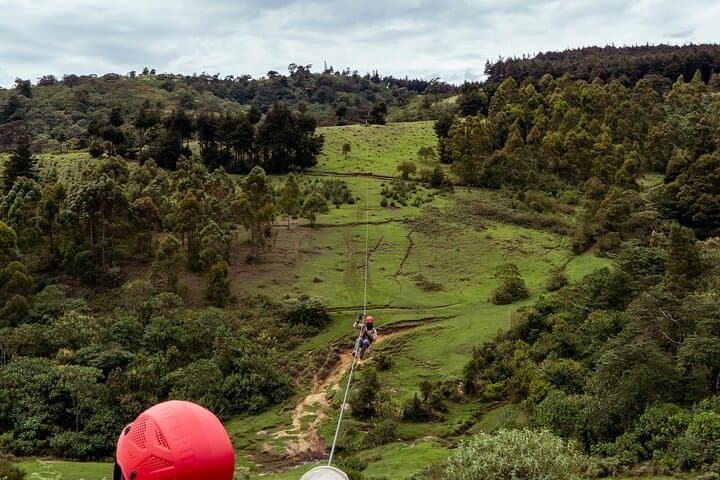 Cape Town Zipline and Wine Tasting Tour