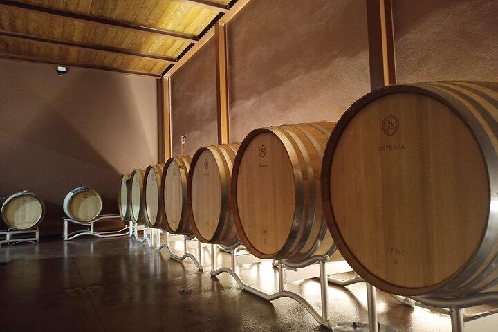 Vinos de Volterra, emociones sensoriales de la agricultura ecológica