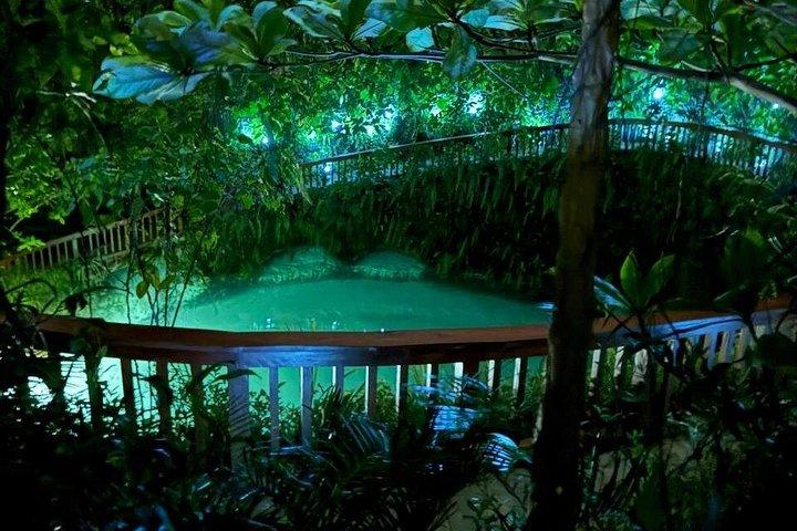 Polaris At Night, Waterfall Pool + Surf & Turf Dinner