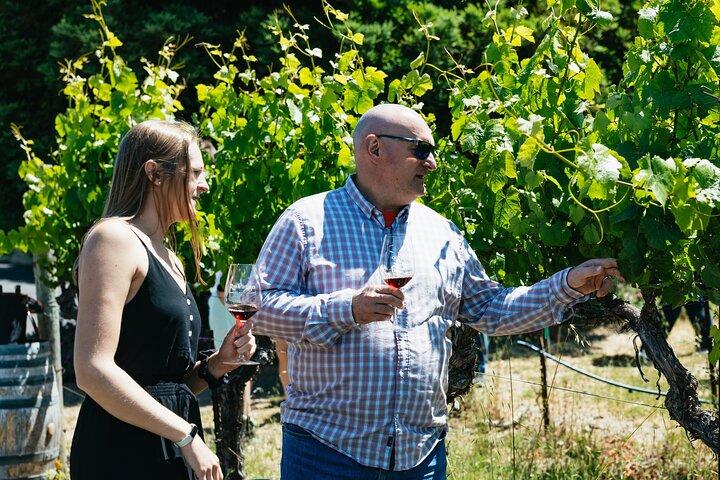 Napa and Sonoma Wine Country Full-Day Tour from San Francisco