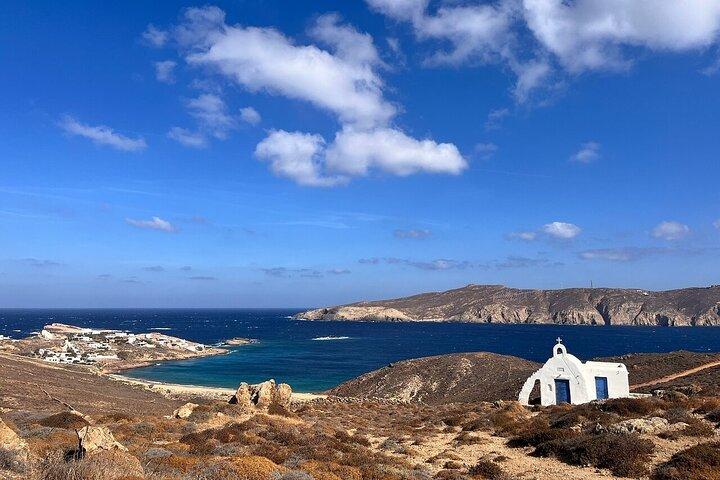 Mykonos Magic privat tur med strand tid