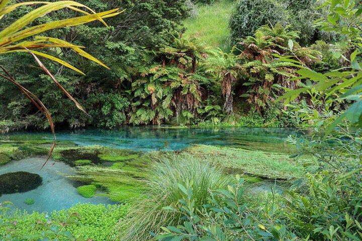 Hunuafallen och Blue Springs (Te Waihou): Privat rundtur