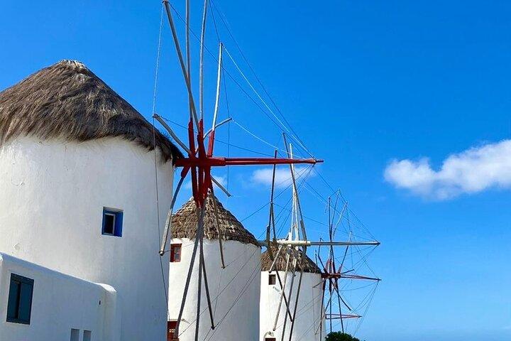ミコノス島日帰りプライベートアイランドツアー全ハイライト