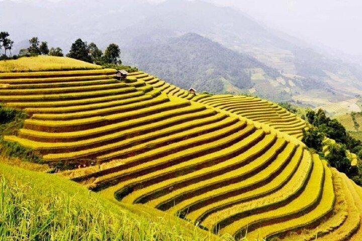 Rejs i Vietnam fra risterrasserne til Mekong i 17 dage