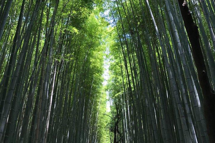 京都嵐山ツアー：名所と隠れた宝