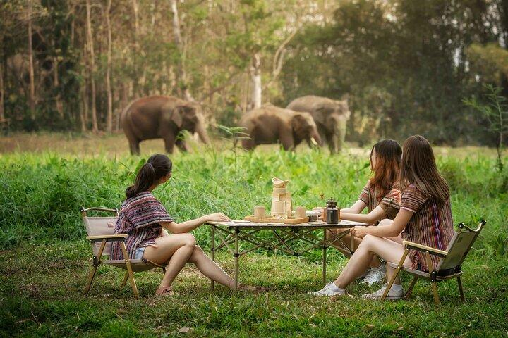 Elephant Sanctuary med thailandsk madlavning i Chiang Mai