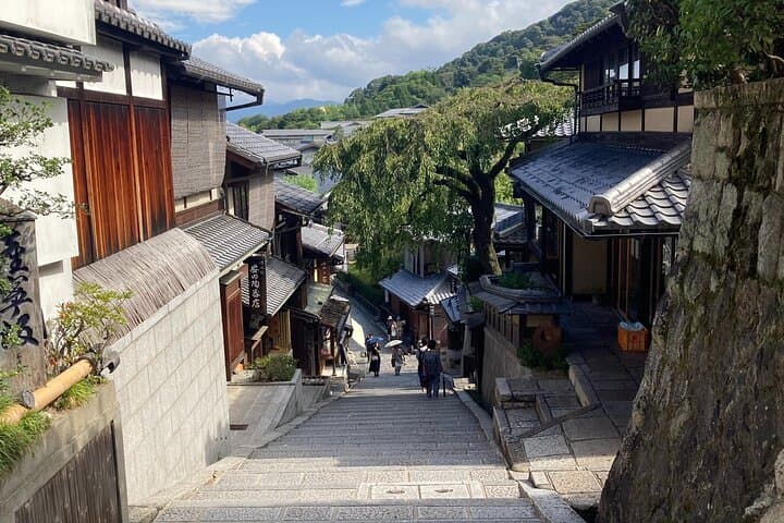 Kyoto Guided Walking Tour Highlight of Kiyomizu & Fushimi Inari