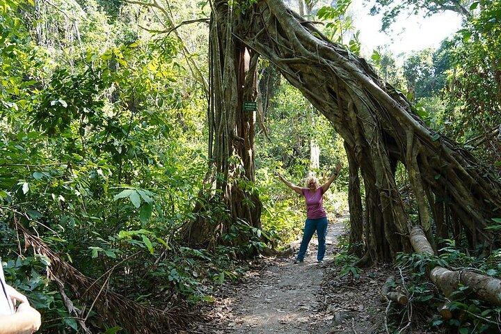 Cat Ba Trekking & Kayaking 3 Tage 2 Nächte
