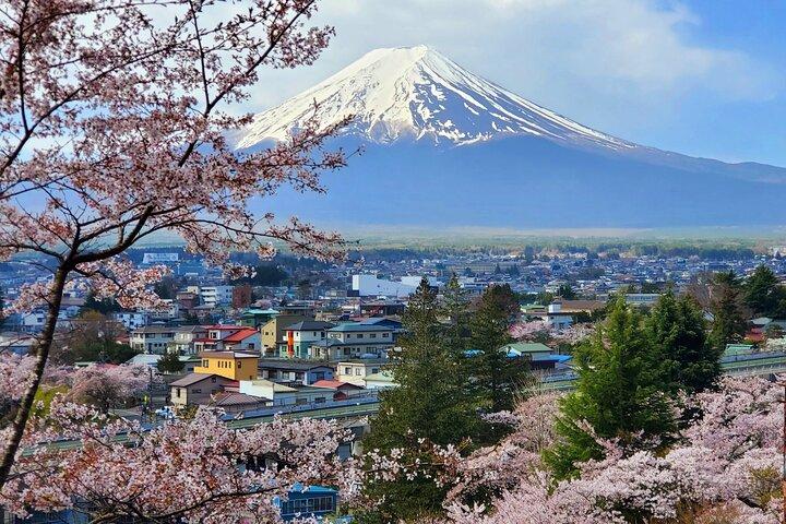東京発富士山＆箱根プライベート日帰り旅行（英語ガイド付き）