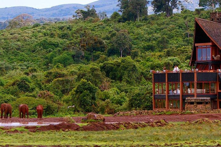 Aberdares National Park Luxury Lodge Safari 2 Days 1 Night Tour